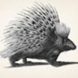 Meet your Posher, Bernhard